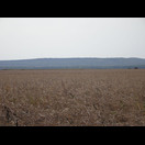Erst jenseits der Donau, auf der bulgarischen Seite, endet die Ebene
